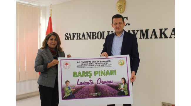 Safranbolu'da