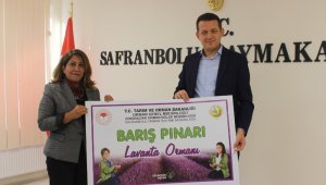 Safranbolu'da