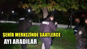 Şehir merkezinde saatlerce ayı aradılar