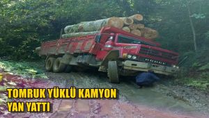 Tomruk yüklü kamyon yan yattı
