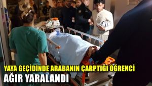 Yaya geçidinde otomobilin çarptığı üniversite ögrencisi ağır yaralandı