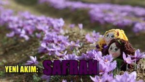 Yeni akım: Safran