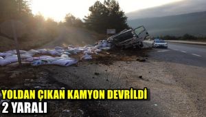 Yoldan çıkan kamyon devrildi: 2 yaralı