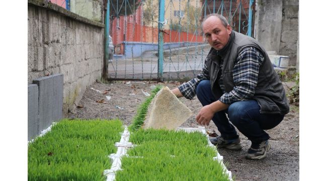 Merak edip araştırdı, hayvanları için topraksız buğdaydan çim üretmeye başladı
