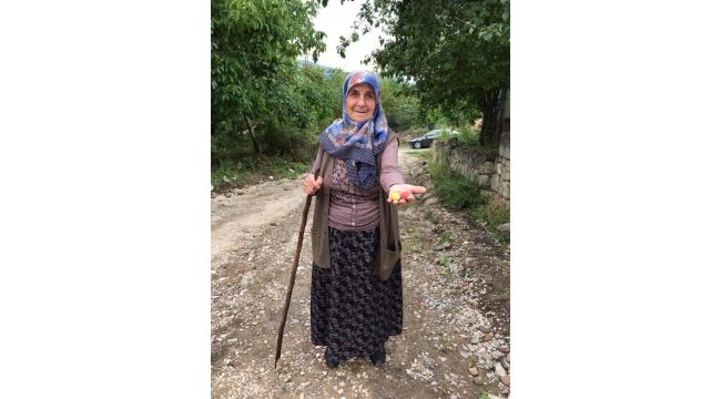 Yolcu minibüsünün çarptığı yaşlı kadının kimliği belli oldu