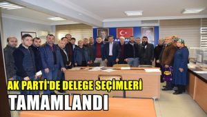 AK Parti'de delege seçimleri tamamlandı