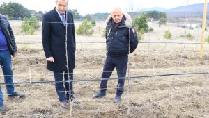 Atıl vaziyetteki araziyi alıp kentin en büyük elma tarlasına dönüştürdü