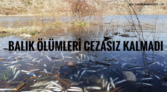 Balık ölümleri cezasız kalmadı