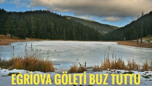 Eğriova Göleti buz tuttu