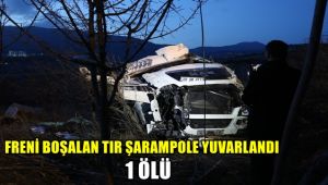 Freni boşalan tır şarampole yuvarlandı: 1 ölü