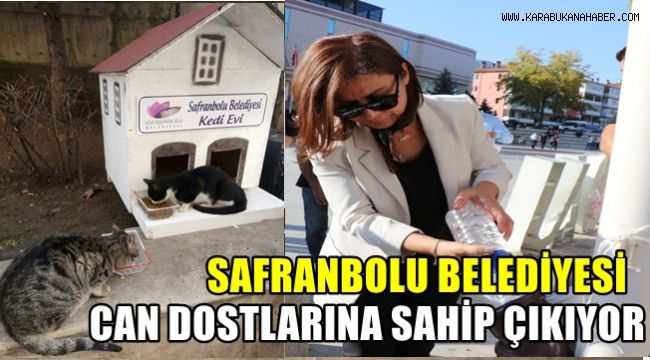 Safranbolu Belediyesi can dostlarına sahip çıkıyor