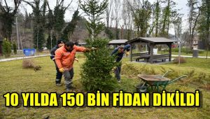 10 yılda 150 bin fidan dikildi