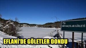 Eflani'de göletler dondu