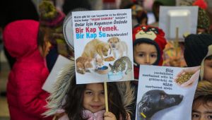 Kediler üşümesin diye yuva yaptılar