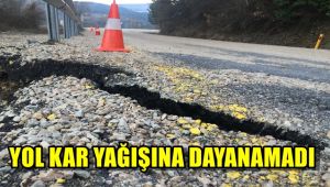 Yol kar yağışına dayanamadı