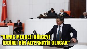 Milletvekili Güneş: