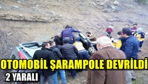Otomobil şarampole devrildi: 2 yaralı