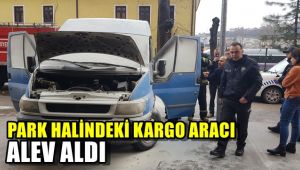 Park halindeki kargo aracı alevlere teslim oldu