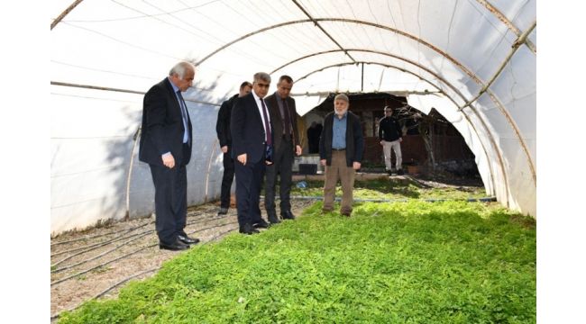 Vali Gürel'den örtü altı üreticilerine ziyaret