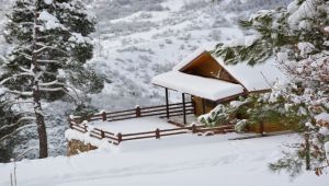 Yenice Ihlamur Teras'ta kartpostallık görüntüler