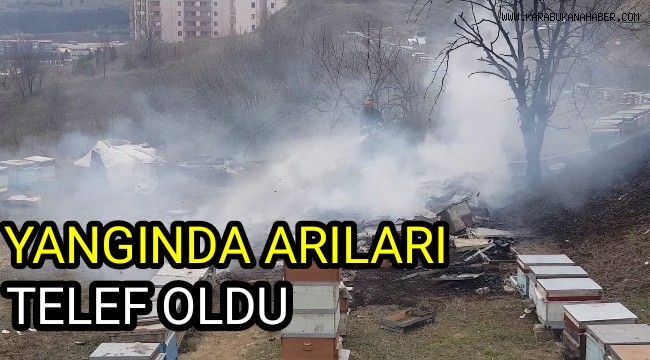 Arıları yangında telef oldu