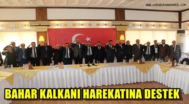 Bahar Kalkanı Harekatına destek