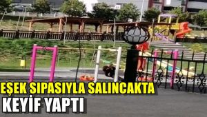 Eşek sıpasıyla salıncakta keyfi yaptı