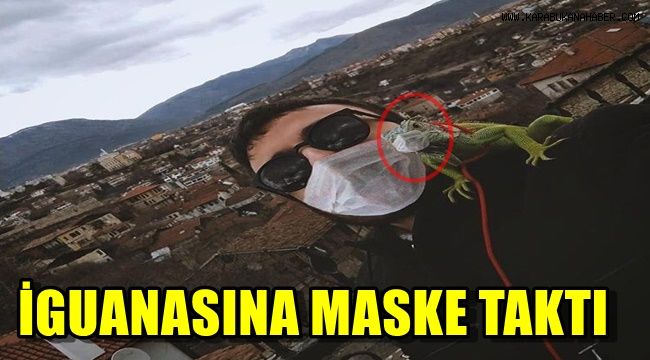 İguanasına maske taktı