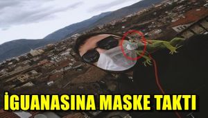 İguanasına maske taktı