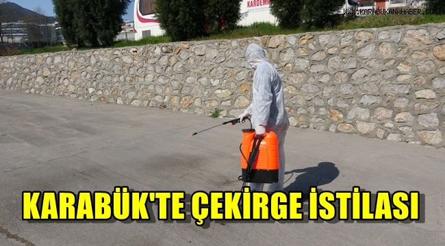 Karabük'te çekirge istilası