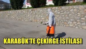 Karabük'te çekirge istilası