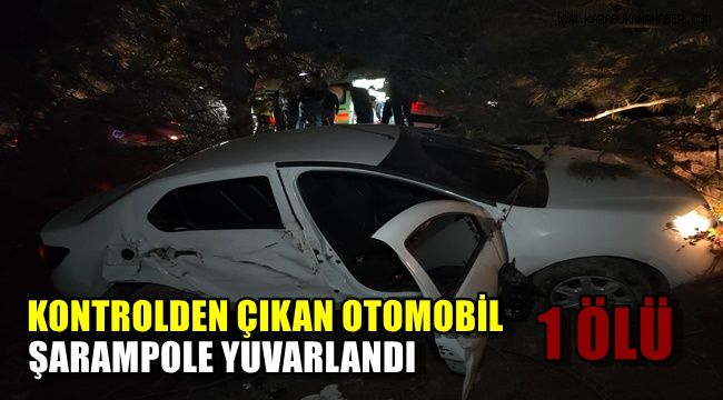 Kontrolden çıkan otomobil ağaca çarpıp şarampole uçtu: 1 ölü 3 yaralı
