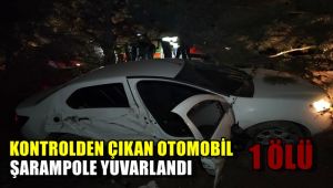 Kontrolden çıkan otomobil ağaca çarpıp şarampole uçtu: 1 ölü 3 yaralı
