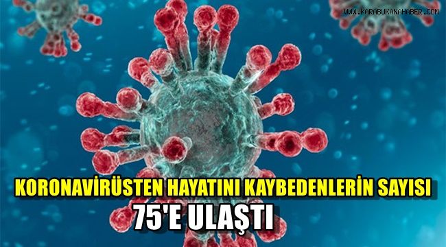 Koronaviüsten hayatını kaybedenlerin sayısı 75'e ulaştı
