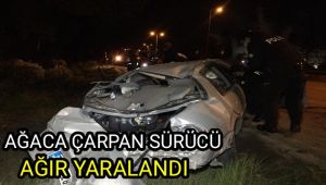 Ağaca çarpan sürücü ağır yaralandı