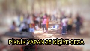 Piknik yapan 25 kişiye ceza