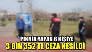 Piknik yapan 6 kişiye 3 bin 352 TL ceza kesildi