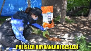 Polisler hayvanları besledi