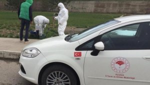 Sokak hayvanları için yem ve su bırakıldı