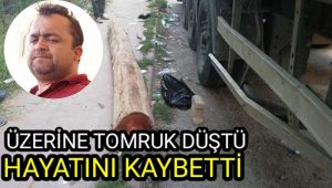 Üzerine tomruk düştü hayatını kaybetti