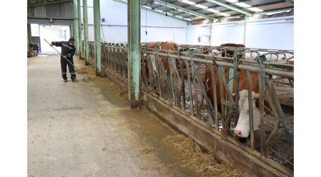 Besi ve süt üreticisi korona virüse rağmen talepleri karşılamakta zorlanıyor