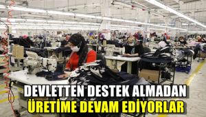 Devletten destek almadan üretime devam ediyorlar
