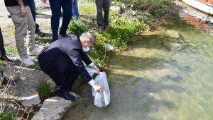 Göletlere 30 bin sazan bırakıldı