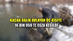 Kaçak balık avlayan 3 kişiye 16 bin 950 TL ceza kesildi