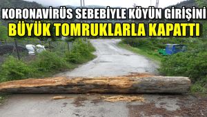 Korona virüs dolayısıyla köyün girişlerini ağaç tomruklarla kapattı