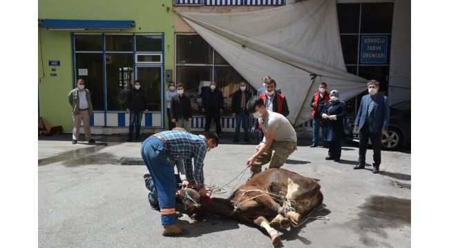 Örenli ailesi kurbanı belediyeye bağışladı