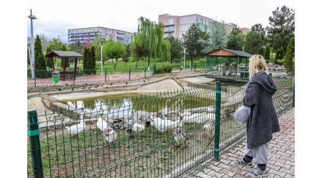 Üniversite öğrencisi kampüs bahçesindeki hayvanları unutmadı