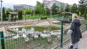 Üniversite öğrencisi kampüs bahçesindeki hayvanları unutmadı