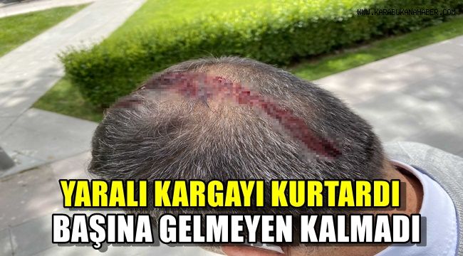 Yaralı kargayı kurtardı başına gelmeyen kalmadı