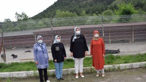 AK Partili kadınlardan 'Bir Kap Su, Bir Kap Mama' kampanyası